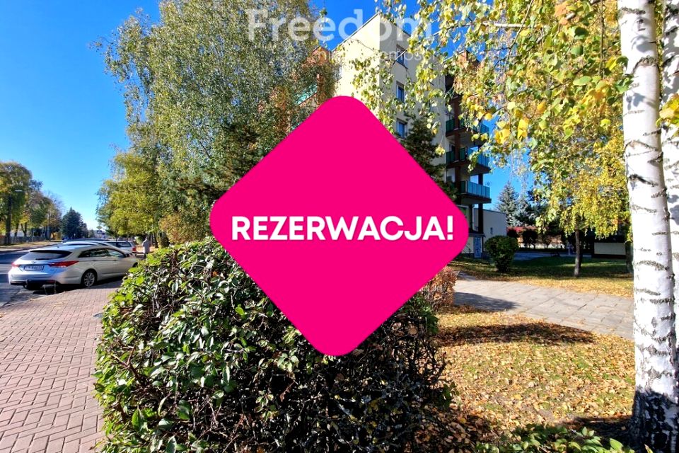 Zdjęcie 2