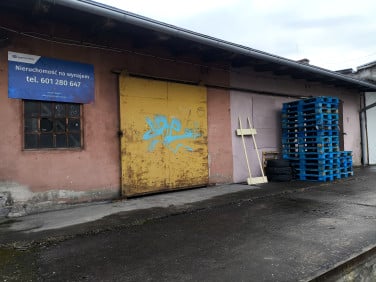 Lokal Opole