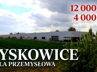 Budynek użytkowy Pyskowice
