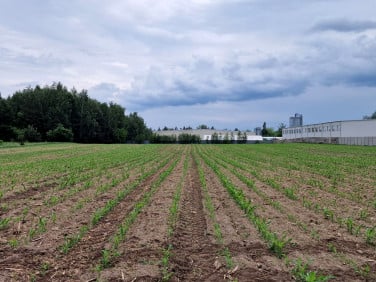 Działka przemysłowa Mrozy