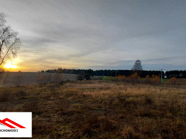 Działka rolna Górzno-Wybudowanie