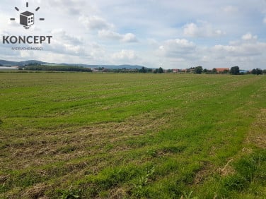 Działka budowlana Paszowice