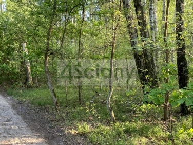 Działka budowlana Marynin