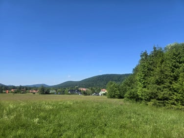 Działka budowlana Wysowa-Zdrój