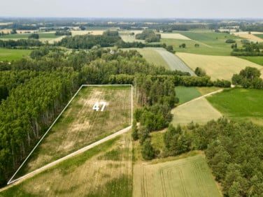 Działka Bombla