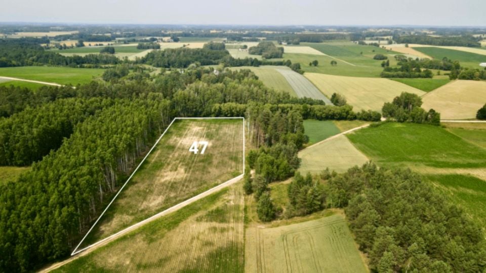 Działka Bombla