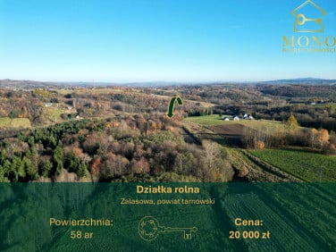 Działka rolna Zalasowa