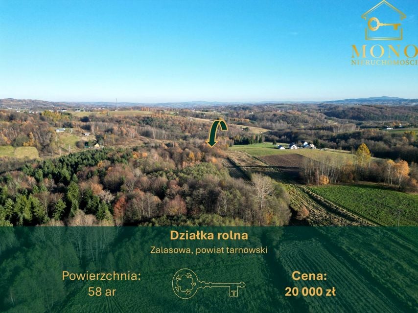 Działka rolna Zalasowa