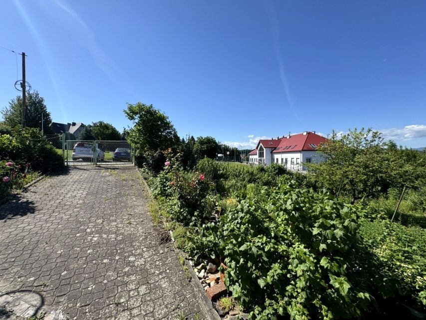 Zdjęcie 2