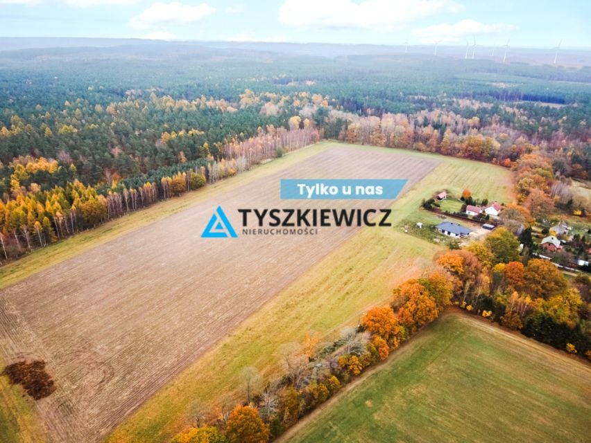 Działka przy lesie