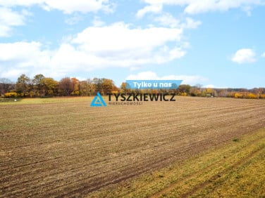 Działka przy lesie