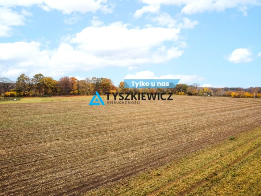 Działka przy lesie