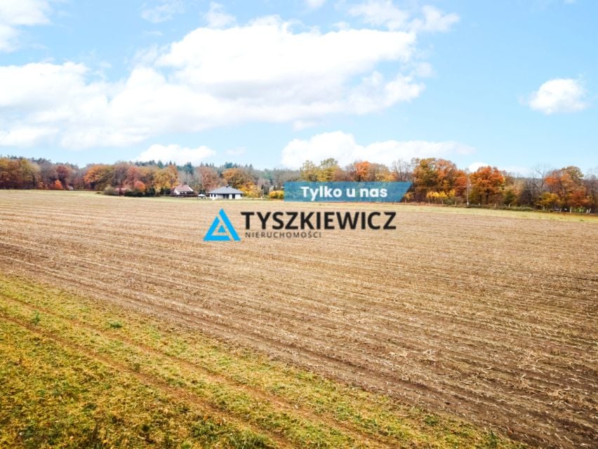 Działka siedliskowa Szczenurze