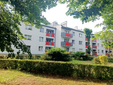 Mieszkanie Piekary Śląskie