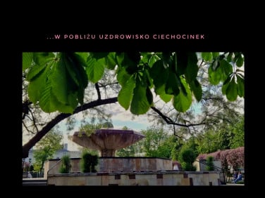 Mieszkanie Ciechocinek