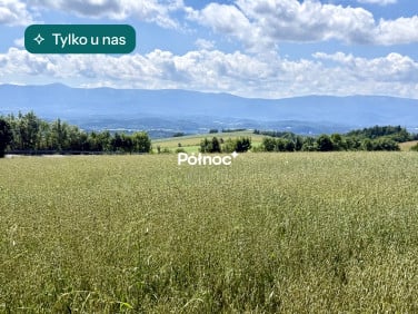 Działka Dziwiszów