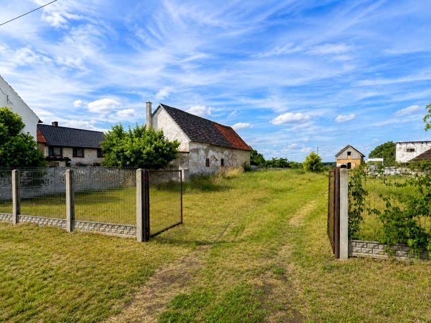 Zdjęcie 2