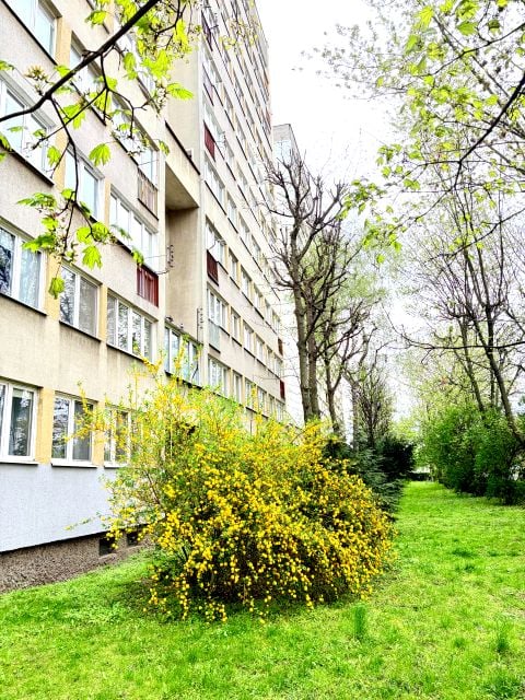 Mieszkanie Wrocław