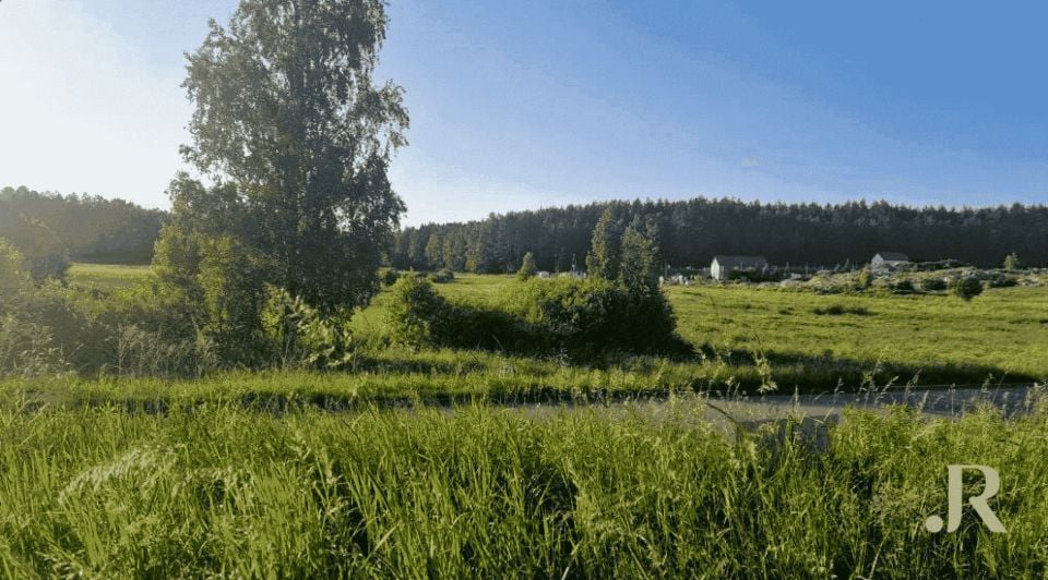 Zdjęcie 3