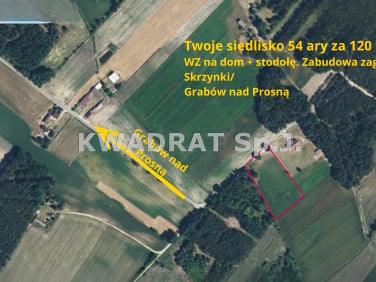 Działka siedliskowa Skrzynki