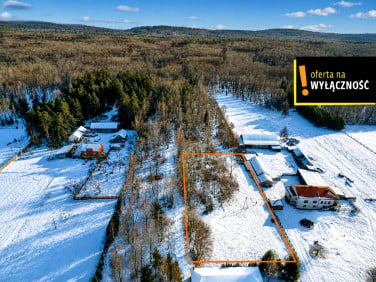 Działka Lechów