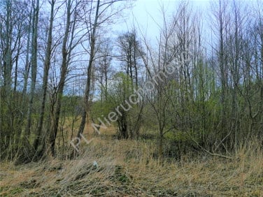 Działka Zakole-Wiktorowo