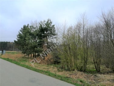 Działka Zakole-Wiktorowo