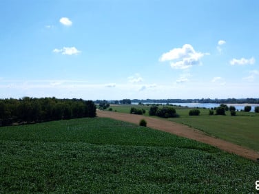 Działka Silno