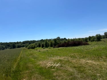 Działka inna Ostrów-Kania