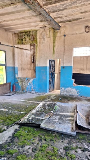 Budynek użytkowy Czerwieńsk wynajem