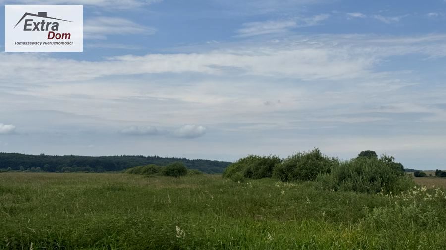 Zdjęcie 2