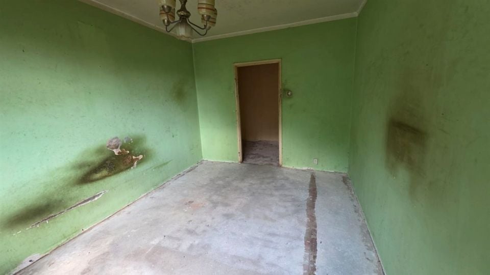Zdjęcie 3
