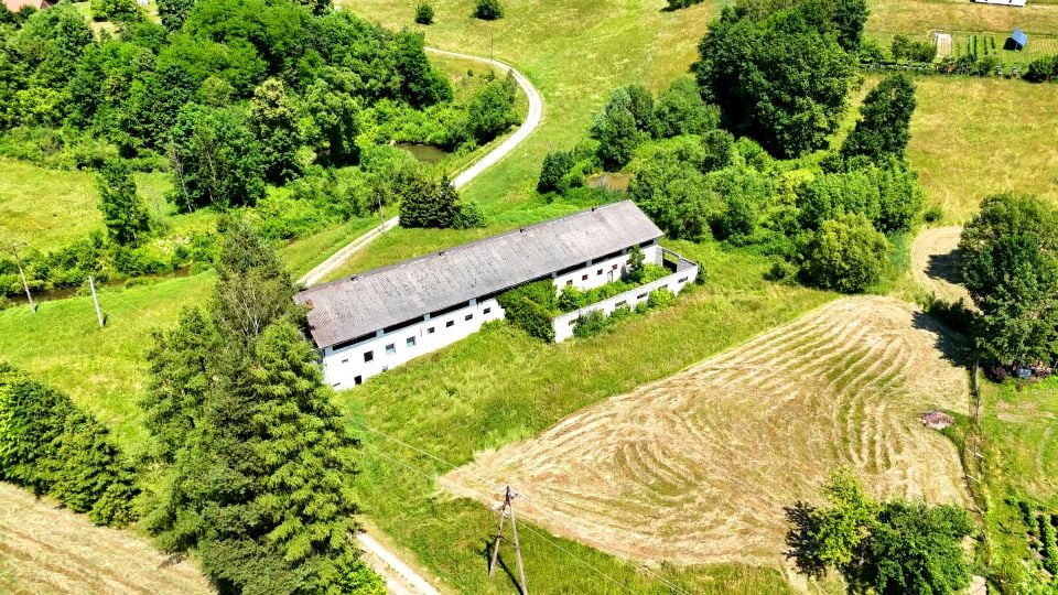 Zdjęcie 2