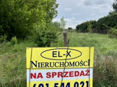 Działka Gniezno