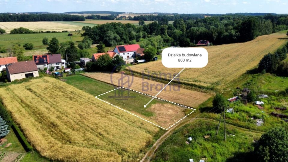 Działka inna Panków