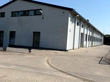 Lokal Wadowice