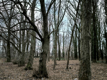 Działka budowlana Brwinów sprzedam