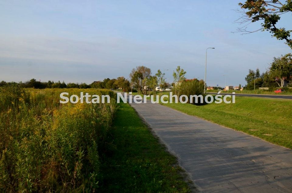 Zdjęcie 3