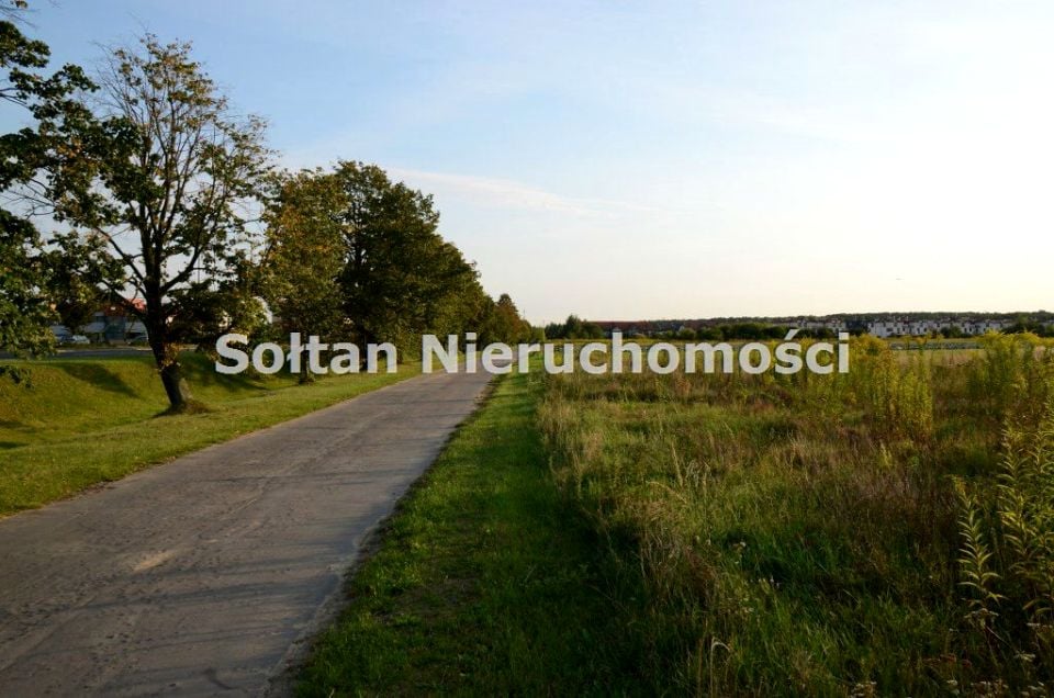 Zdjęcie 2