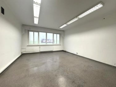 Lokal Szczecin