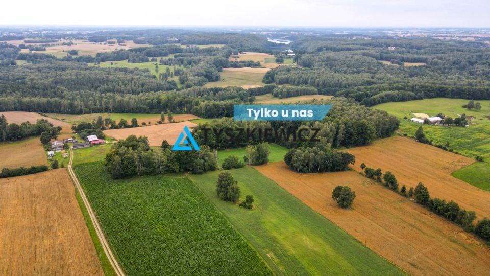 Działka przy lesie