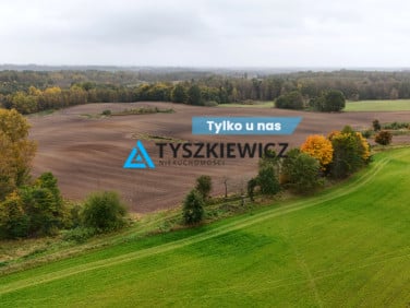 Działka rolna Borowina