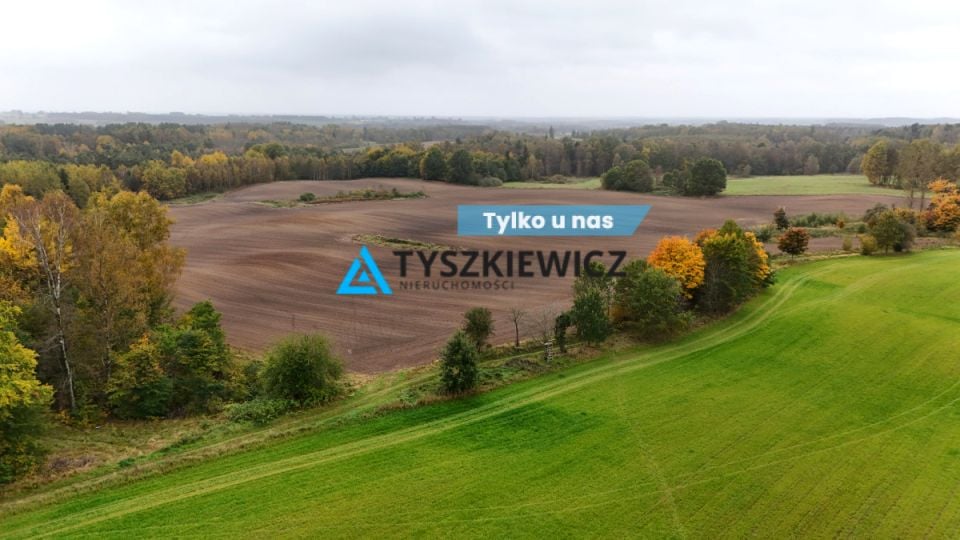 Działka rolna Borowina