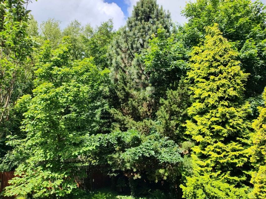 Mieszkanie Katowice sprzedaż