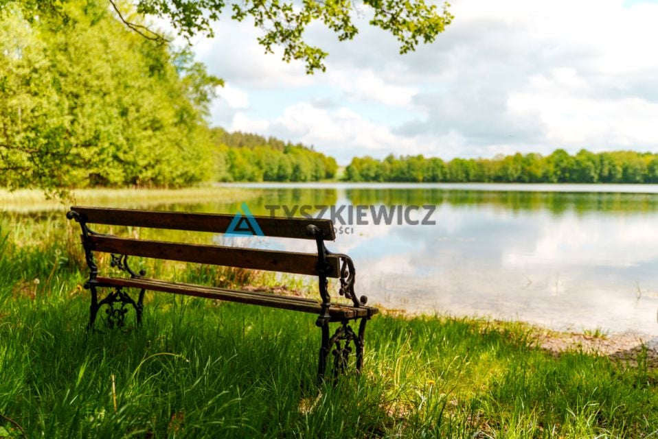 Zdjęcie 3