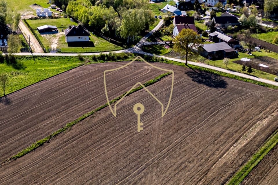 Zdjęcie 3