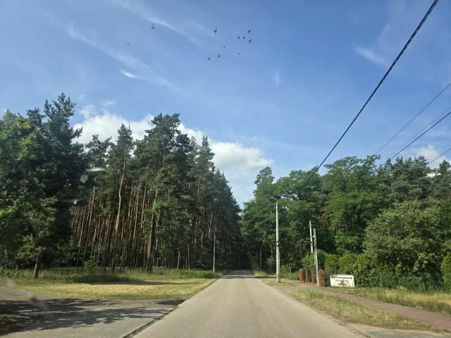 Zdjęcie 2