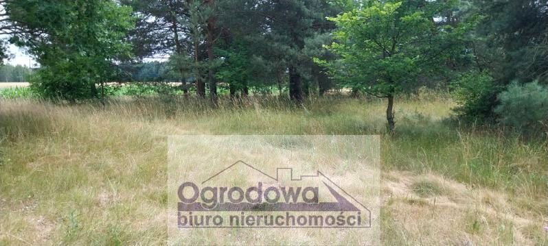 Działka siedliskowa Nowy Kębłów