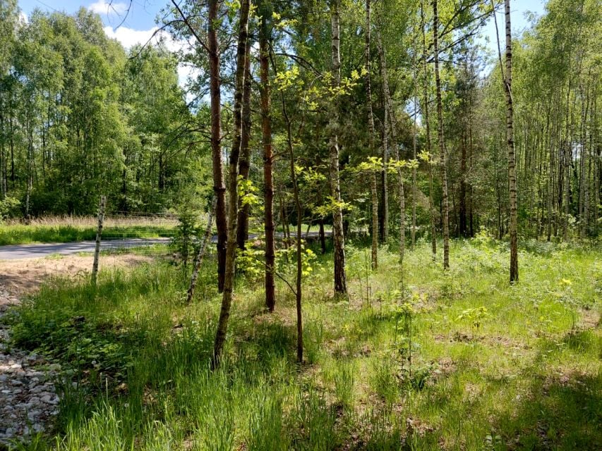 Działka Żebrówka