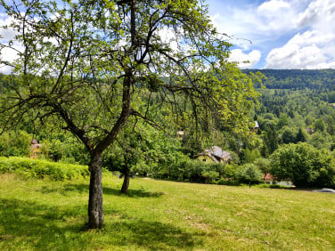 Działka Wisła